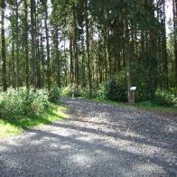 Risiko-Lebensversicherung, Friedwald